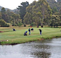 Penguin Golf Course - Hotel Accommodation