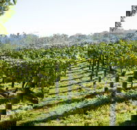 Surveyor's Hill Vineyards - Hotel Accommodation