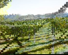 Surveyor's Hill Vineyards - Hotel Accommodation 0