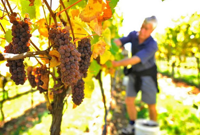 Windermere TAS Hotel Accommodation