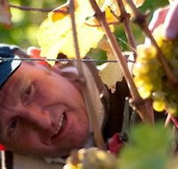 Puddleduck Vineyard - Hotel Accommodation