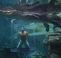 Crocosaurus Cove - Hotel Accommodation