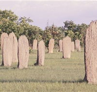 Magnetic Termite Mounds - Hotel Accommodation