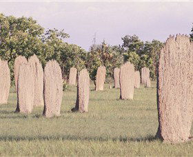 Magnetic Termite Mounds - Hotel Accommodation 0