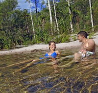 Tjaynera/Sandy Creek Falls - Hotel Accommodation