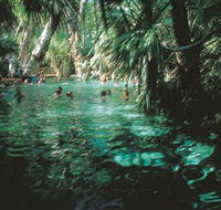 Mataranka Thermal Pool - Hotel Accommodation