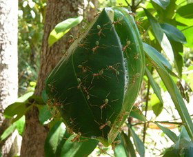 Greenant Creek Walk - Hotel Accommodation 0