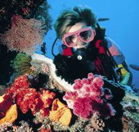 Cook Island Dive Site - Hotel Accommodation