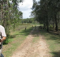 Coombabah Lakes Conservation Area - Hotel Accommodation