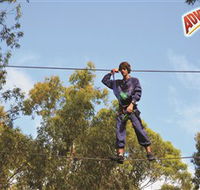 Adventure Parc at Currumbin Wildlife Sanctuary