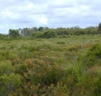 Pine Ridge Conservation Park - Hotel Accommodation