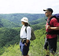 Sunshine Coast Hinterland Great Walk - Hotel Accommodation