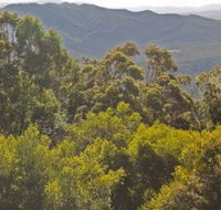 Conondale National Park - Hotel Accommodation