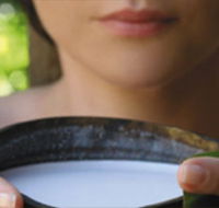 Ikatan Day Spa - Hotel Accommodation