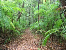 Mapleton QLD Hotel Accommodation
