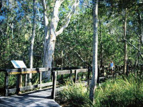 Noosa Heads QLD Hotel Accommodation