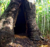 Tewantin National Park - Hotel Accommodation