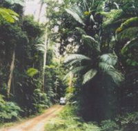 Conondale Great Walk - Hotel Accommodation