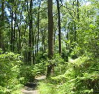 Mapleton Falls National Park - Hotel Accommodation