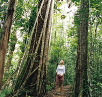 Wet Tropics - Hotel Accommodation