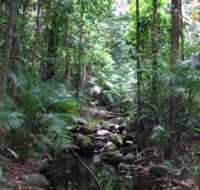 Mossman Gorge Rainforest Circuit Track Daintree National Park - Hotel Accommodation