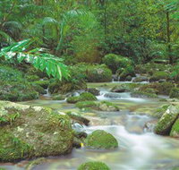 Mossman Gorge Daintree National Park - Hotel Accommodation