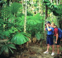 Mount Sorrow Ridge Trail Daintree National Park