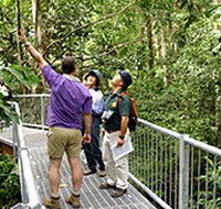 Daintree Discovery Centre - Hotel Accommodation