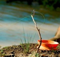 Charleville - Mangalore Warrego River Fishing Spot - Hotel Accommodation
