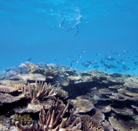 Australian Institute of Marine Science - Hotel Accommodation