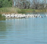 Lake Ross - Hotel Accommodation