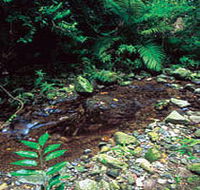 Wompoo Walk - Hotel Accommodation