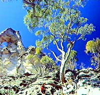 Mount Moffatt Section - Carnarvon National Park - Hotel Accommodation