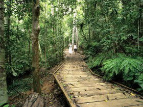 Malanda QLD Hotel Accommodation