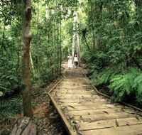 Lake Barrine Circuit Track Crater Lakes National Park - Hotel Accommodation