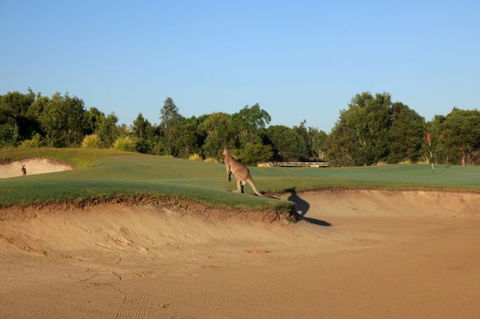 Pelican Waters Golf Club - Hotel Accommodation 6