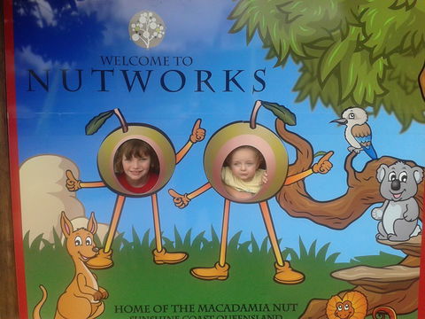 Nutworks - Hotel Accommodation 4