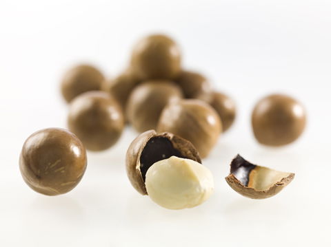 Nutworks - Hotel Accommodation 5