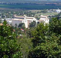 Apex Park and Lookout - Hotel Accommodation