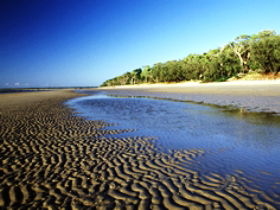 Kinkuna Section - Hotel Accommodation 0