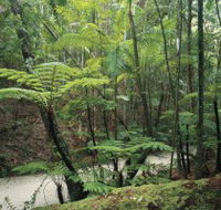 Fraser Island Great Walk - Hotel Accommodation