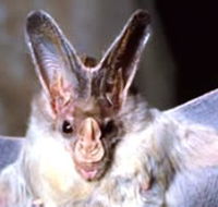 Mount Etna Caves National Park - Hotel Accommodation