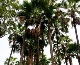 Palm Tree Creek - Hotel Accommodation 0