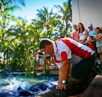 The Living Reef on Daydream Island - Hotel Accommodation