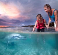 Tangalooma Island Resort - Hotel Accommodation
