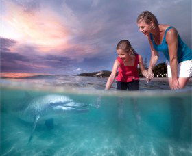Tangalooma Island Resort - Hotel Accommodation 0