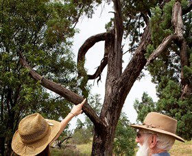 Charleville - Outback Native Timber Walk - Hotel Accommodation 0