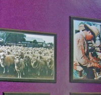 Charleville Photographic Display - Hotel Accommodation