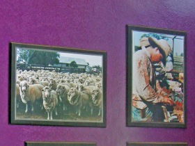 Charleville Photographic Display - Hotel Accommodation 0