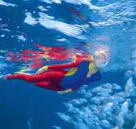 Outer Rocks Dive Site - Hotel Accommodation